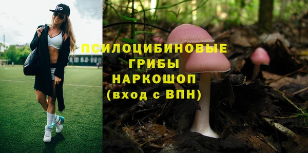 первитин Касимов