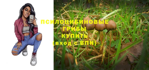 дживик Карталы